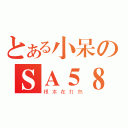 とある小呆のＳＡ５８（根本在打鳥）