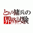 とある傭兵の昇格試験（ニーズヘッグ）