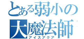 とある弱小の大魔法師（アイスアクア）