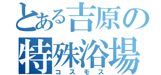 とある吉原の特殊浴場（コスモス）