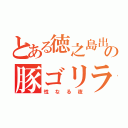 とある徳之島出身の豚ゴリラ（性なる夜）