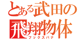 とある武田の飛翔物体（フックスパナ）