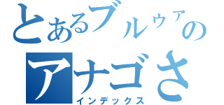 とあるブルゥァ！のアナゴさん（インデックス）