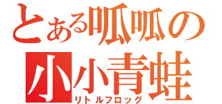 とある呱呱の小小青蛙（リトルフロッグ）