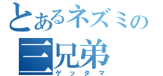 とあるネズミの三兄弟（ゲッタマ）