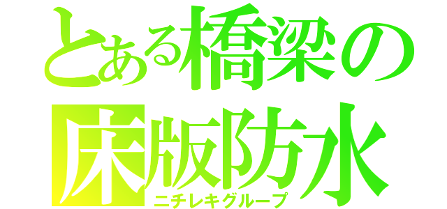 とある橋梁の床版防水（ニチレキグループ）