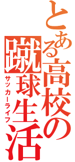 とある高校の蹴球生活（サッカーライフ）