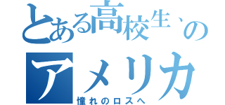 とある高校生、初めてののアメリカ（憧れのロスへ）