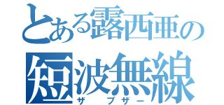 とある露西亜の短波無線（ザ　ブザー）