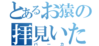 とあるお猿の拝見いたしました（バーカ）