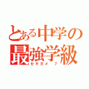 とある中学の最強学級（セキガメ ７）