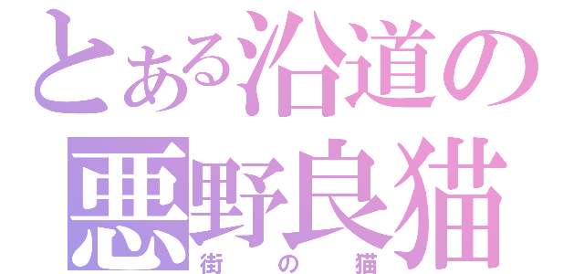 とある沿道の悪野良猫（街の猫）