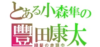 とある小森隼の豐田康太（緑髪の赤頭巾）