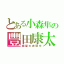 とある小森隼の豐田康太（緑髪の赤頭巾）