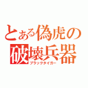 とある偽虎の破壊兵器（ブラックタイガー）