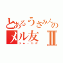 とあるうさみんのメル友Ⅱ（じゅーじか）