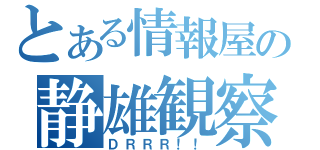 とある情報屋の静雄観察（ＤＲＲＲ！！）