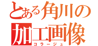 とある角川の加工画像（コラージュ）