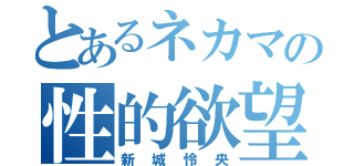 とあるネカマの性的欲望（新城怜央）