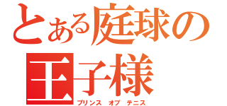 とある庭球の王子様（プリンス　オブ　テニス）