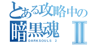 とある攻略中の暗黒魂Ⅱ（ＤＡＲＫＳＯＵＬＳ ２）