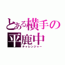 とある横手の平鹿中（チャレンジャー）