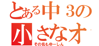 とある中３の小さなオネエ（その名もゆーしん）