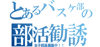 とあるバスケ部の部活勧誘（女子部員募集中！！）