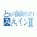 とある師匠のみえインコⅡ（脱癖毛）