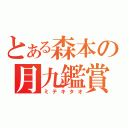 とある森本の月九鑑賞（ミテキタオ）