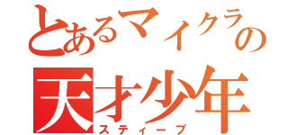 とあるマイクラ界のの天才少年（スティーブ）