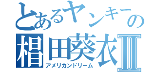 とあるヤンキーの椙田葵衣Ⅱ（アメリカンドリーム）