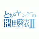 とあるヤンキーの椙田葵衣Ⅱ（アメリカンドリーム）