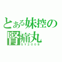 とある妹控の腎痛丸（ＳＹ２００８）