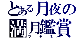 とある月夜の満月鑑賞（ツキミ）