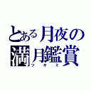 とある月夜の満月鑑賞（ツキミ）