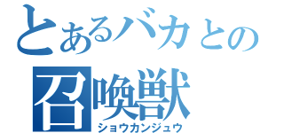 とあるバカとの召喚獣（ショウカンジュウ）