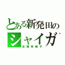 とある新発田のシャイガール（高橋奈緒子）