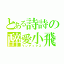 とある詩詩の醉愛小飛（インデックス）