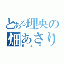 とある理央の畑あさり（餌とり）