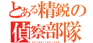 とある精鋭の偵察部隊（ｓｎｉｐｅｒｒｅｋｉｓｖｄ）