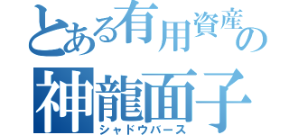 とある有用資産の神龍面子（シャドウバース）