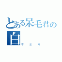 とある呆毛君の白癡（不正常）