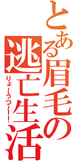 とある眉毛の逃亡生活（りょ～うつ～！！）