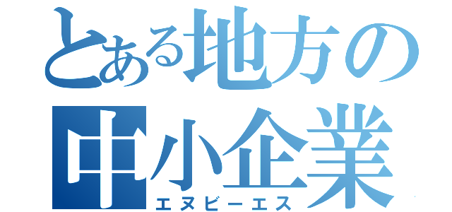 とある地方の中小企業（エヌビーエス）