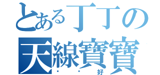 とある丁丁の天線寶寶（說你好）