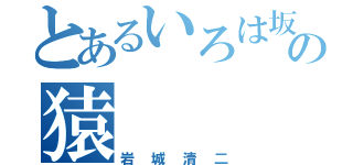 とあるいろは坂の猿（岩城清二）