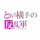 とある横手の反乱軍（ＨＩＲＡＫＡ）