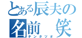 とある辰夫の名前（笑）（チンタツオ）