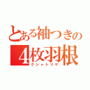 とある袖つきの４枚羽根（クシャトリヤ）